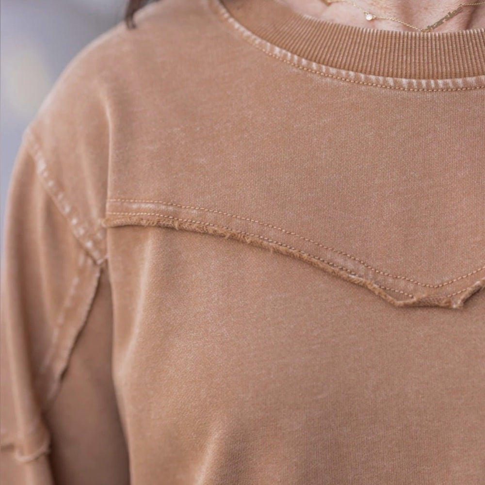 805. Easel Tan Long Sleeve Top