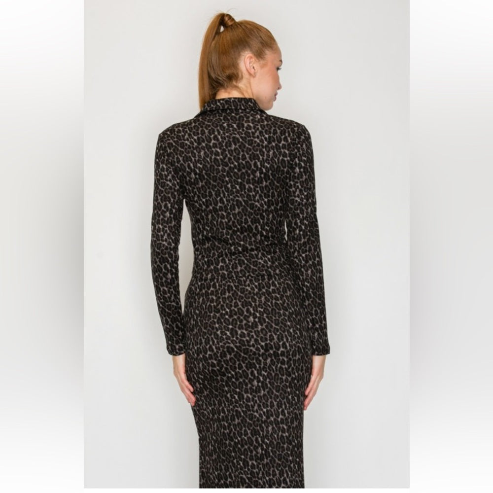 A143. Leopard Buttoned Top & Maxi Skirts Set