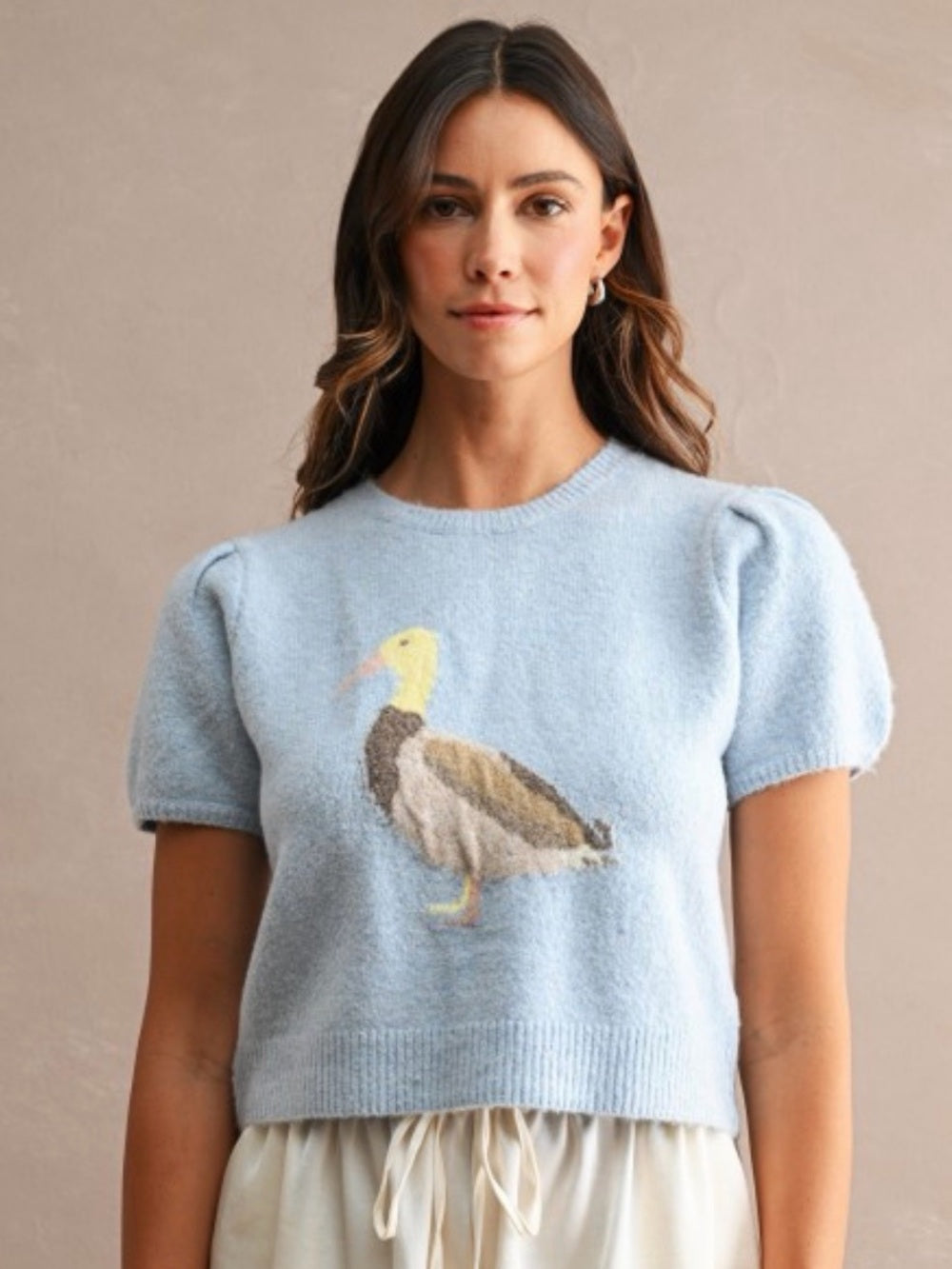 A724. Light Blue Puff-Sleeve Cropped Sweater with Duck Jacquard