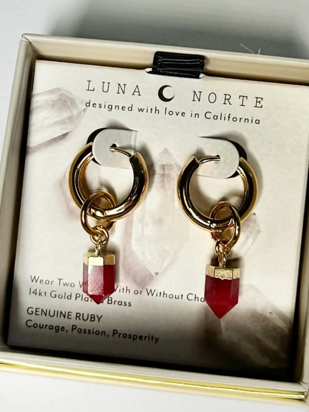 Luna Norte Straight To the Point Interchangeable Huggie Hoop - Ruby
